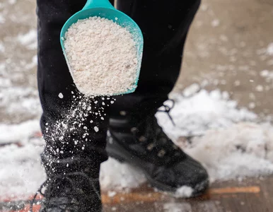 Miniatura: Posyp tym schody i podjazd. Sól i piasek...