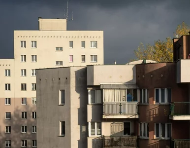 Miniatura: Wojsko sprzedaje mieszkania za ułamek...