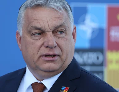 Miniatura: Jak Fidesz kupuje wyborców. Dr Schmidt:...