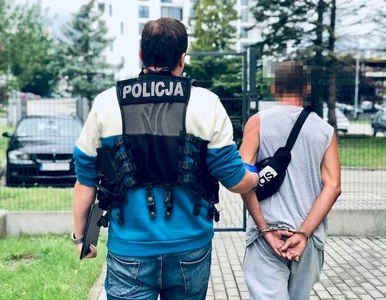 Miniatura: Wakacyjna kradzież. Okazało się, że okazja...