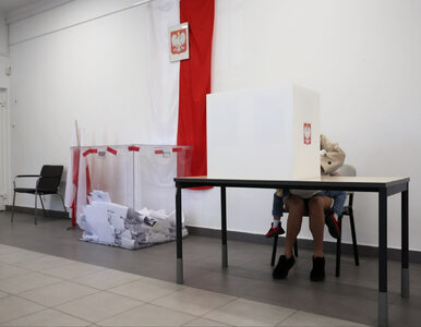 Miniatura: Oficjalne wyniki wyborów do sejmików...