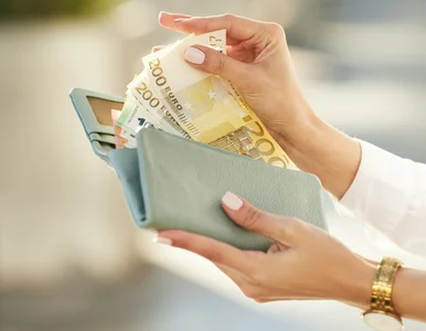 Miniatura: Co czeka portfele Polaków w 2026 roku? Te...