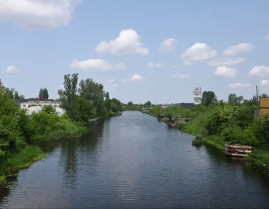 Miniatura: Tu powstaje najpiękniejszy park w...
