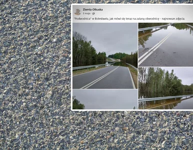 Miniatura: Podwodna obwodnica atrakcją turystyczną....