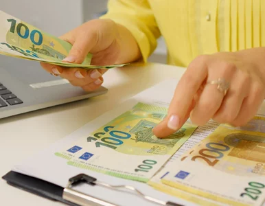 Miniatura: Kursy walut 12 grudnia 2025. Po ile dolar,...