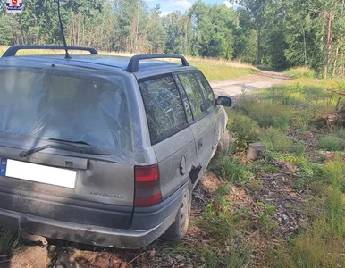 Miniatura: Wakacje na całego. 15-latek postanowił...