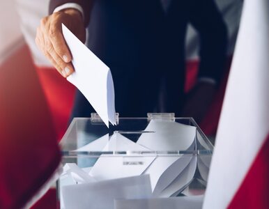 Miniatura: Zaskakujące wyniki wyborów w Wielkopolsce....