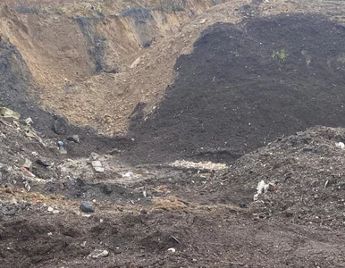 Miniatura: Kolejne zatrzymania ws. mafii śmieciowej....