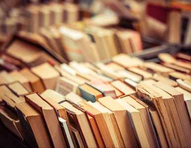 Miniatura: Wielkie obchody Światowego Dnia Książki....