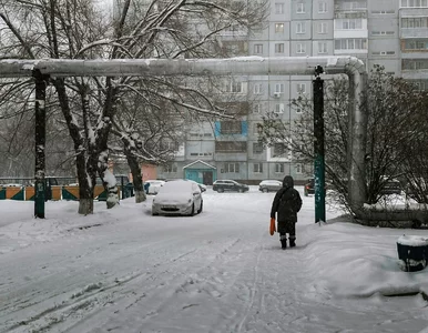 Miniatura: Już 40 ofiar mrozu w Polsce. Specjalista...