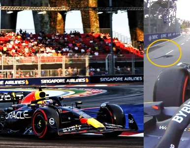 Miniatura: „Dziecko Godzilli” torpedowało jazdę...