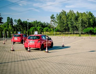 Miniatura: Jest nowy projekt PiS dotyczący egzaminów...