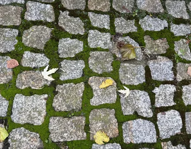 Miniatura: Wlej 4 szklanki do wody i zrób to w lutym....