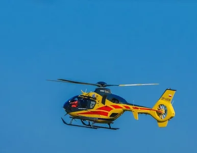 Miniatura: Zderzenie autobusu z ciężarówką na...