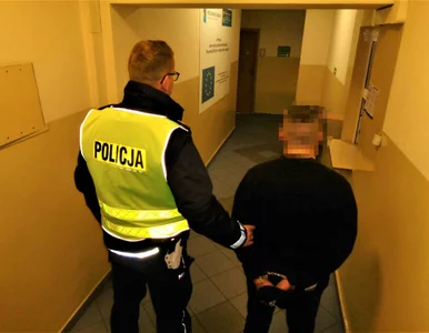 Miniatura: Ranking najczęściej kradzionych aut. Trzy...