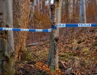 Miniatura: Tragiczny finał dożynek. Ukraiński...