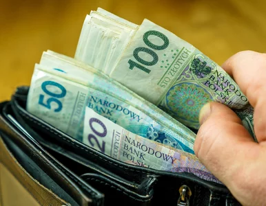 Miniatura: Polacy znaleźli alternatywę dla lokat....