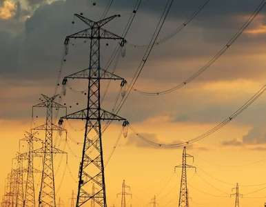 Miniatura: Polacy zużyli rekordową moc. PSE: „System...