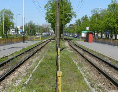 Miniatura: Brawurową jazdą doprowadził do karambolu....