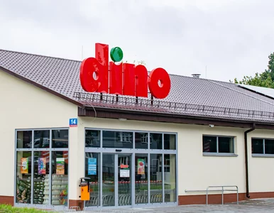 Miniatura: GIS ostrzega przed makiem z Dino. Tej...