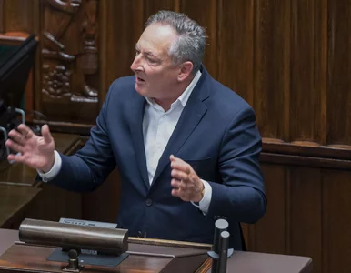 Miniatura: Sienkiewicz krytykuje zwiększanie kar dla...