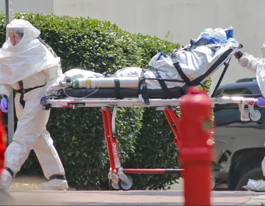 Miniatura: Przełom w walce z Ebolą? Obecna epidemia...