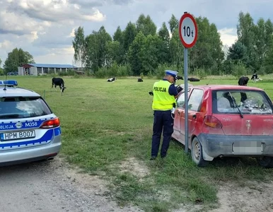 Miniatura: Pościg za... 11-latkiem w Matizie. Wpadł,...
