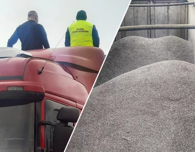 Miniatura: Polskie służby udaremniły nielegalny...