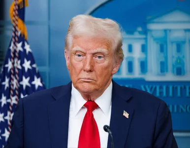 Miniatura: Prof. Piątkowski: Trump nie naprawił...