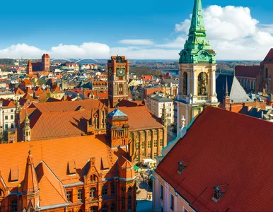 Miniatura: Nowy taras z pięknym widokiem na miasto....