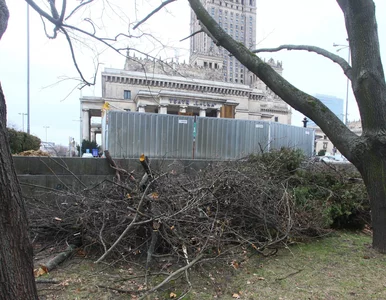 Miniatura: Bójki i alkohol w centrum Warszawy. Tak...
