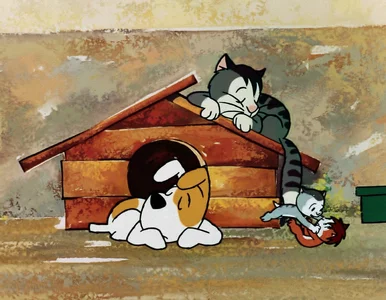 Miniatura: Kultowe wieczorynki – rozpoznasz po...