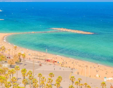 Miniatura: Horrendalna opłata w europejskiej perełce....