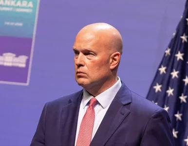 Miniatura: Amerykański ambasador zachwycony Polską....