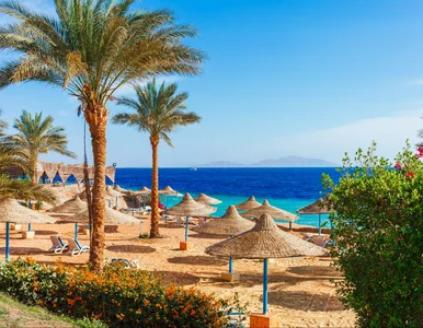 Miniatura: Egipt all inclusive na styczniowe mrozy....