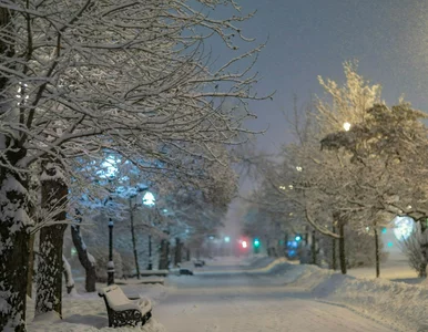 Miniatura: Niespokojna prognoza dla Polski. Alerty...