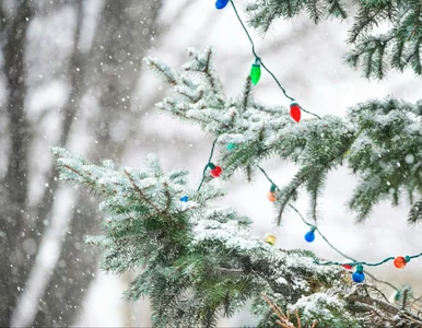 Miniatura: Zima uderzy w święta. Takiej Wigilii i...