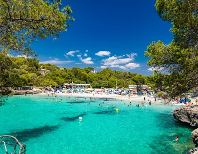 Miniatura: Ta wakacyjna wyspa ma wszystko. Latem...