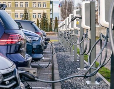 97 proc. polskich właścicieli elektryków nie wróciłoby do aut spalinowych