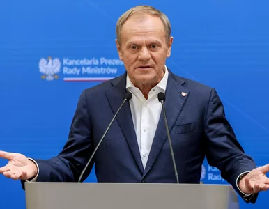 Miniatura: Stanowcze słowa Donalda Tuska ws. Niemiec....