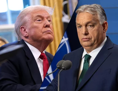 Miniatura: Trump i Orban pod presją. Wybory w 2026...