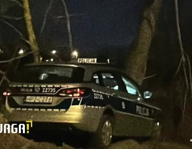 Miniatura: Rozbity radiowóz z nastolatkami. Jeden z...