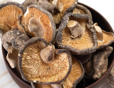 Miniatura: Ten błąd przy moczeniu suszonych grzybów...