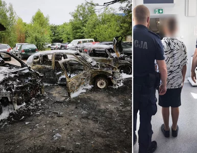 Miniatura: Policja zatrzymała Ukraińców w wieku 8-12...