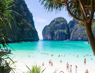 Miniatura: Polacy zapłacą więcej. Popularny kraj...