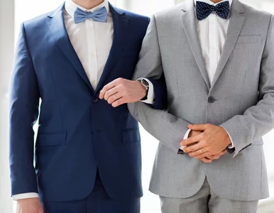Miniatura: Czy Polacy chcą związków partnerskich?...