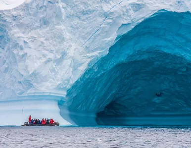 Miniatura: Odkryto 30 nowych gatunków. Zaskakujące, w...