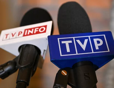 Miniatura: Wysocka-Schnepf z nowym programem. Wśród...