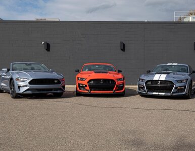 Miniatura: Nowe ekstremalne Fordy Mustangi. Shelby...