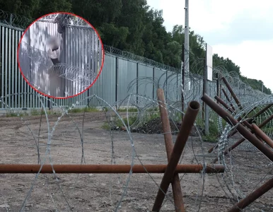 Miniatura: Rewolucja przy granicy...